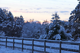 snow-covered countrysides are often beautiful