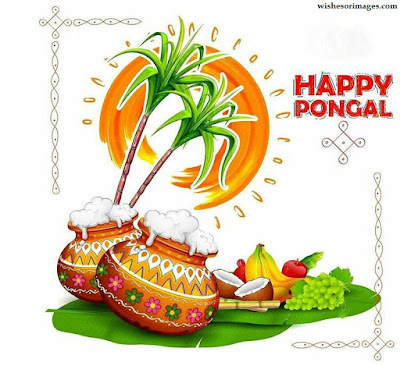 Pongal Images For Facebook