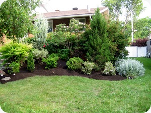 frontyard90done
