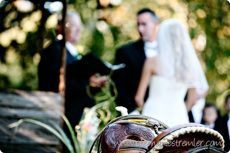 Wedding9-12-09Sarah&RobFerndalePhotographer-123