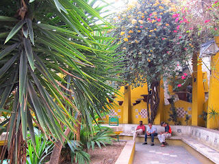 Santiago de Cuba people sitting outside with colorful trees