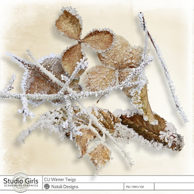 http://shop.scrapbookgraphics.com/2016-cu-winter-twigs-2.html