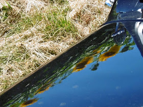 Sunflowers reflected in classic Citroen bonnet. Touraine Loire Valley. France. Photo by Susan Walter.