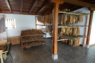 Museo del puro palmero