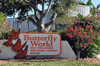 Borboletário Butterfly World