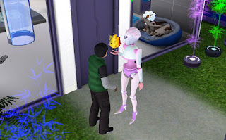 the sims 3