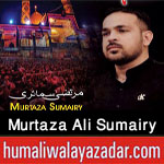 http://www.humaliwalayazadar.com/2017/09/murtaza-ali-sumairy-nohay-2018.html