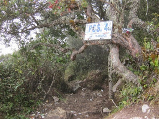 Pos 4 Gunung Lawu via Cemara Sewu