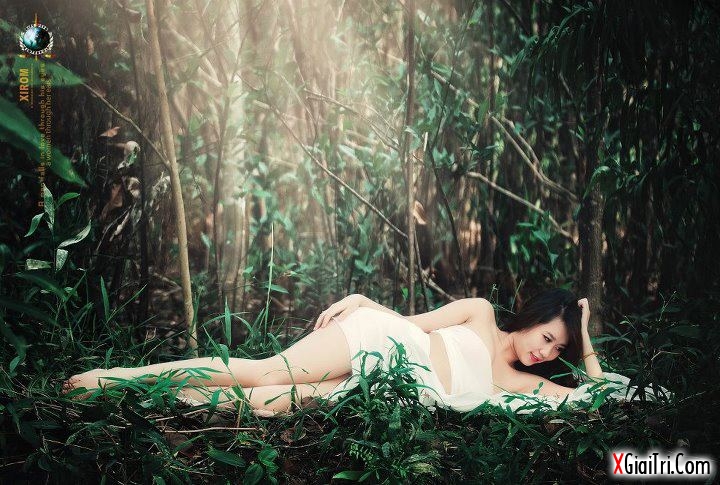 Công chúa ở trong rừng