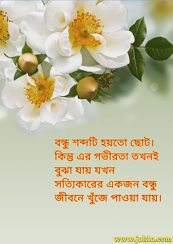 Friend is a small word friendship message in Bengali