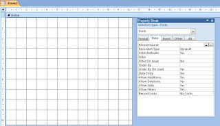 Access Form Design View