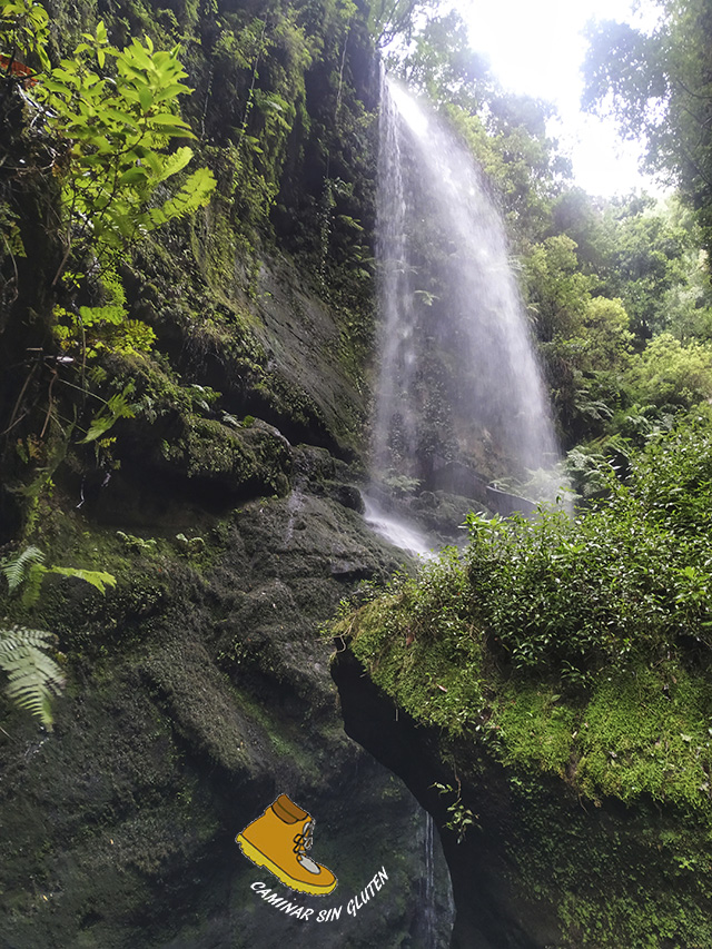 Cascada de los Tilos tras al final del pequeño sendero