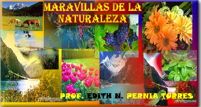 NUESTRO AMBIENTE NATURAL