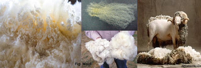 Wool-Fiber