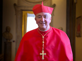 Cardinal Vin