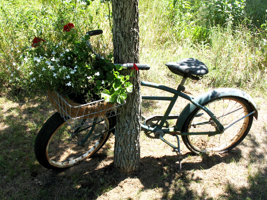 Old bike planter (click to enlarge)