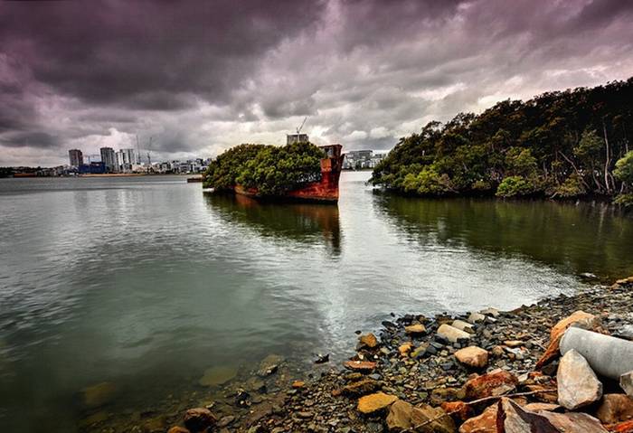 The SS Ayrfield is one of many decommissioned ships in the Homebush Bay, just west of Sydney, but what separates it from the other stranded vessels is the incredible foliage that adorns the rusted hull. The beautiful spectacle, also referred to as The Floating Forest, adds a bit of life to the area, which happens to be a sort of ship graveyard.