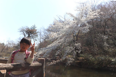 2018/03/25石神井公園