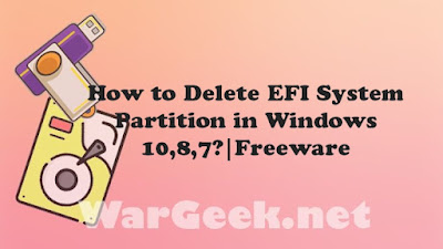 How to Delete EFI System Partition in Windows 10,8,7?