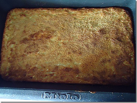 DSC04507 DSC04507