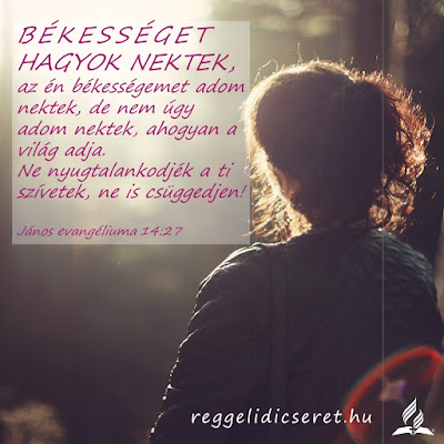 Kép