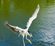 Everglades National Park