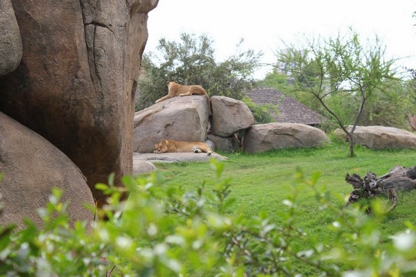 Walencja Biopark