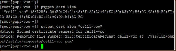 puppet-sign-cert