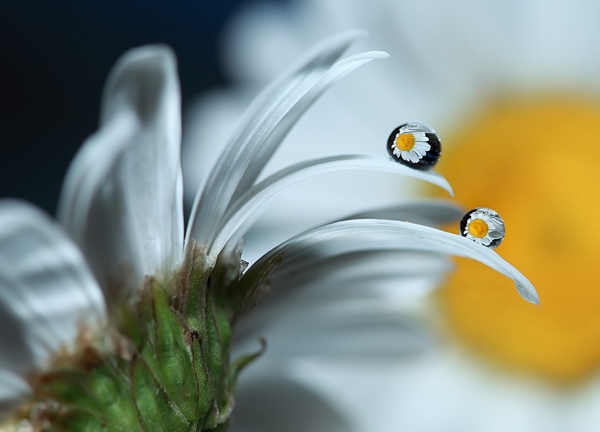 Awesome Rain drops