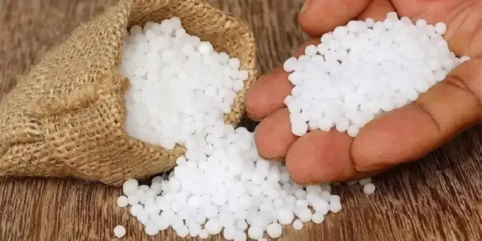 Clean saltpetre essential for healthy walls