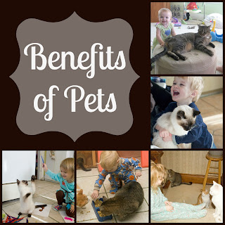 Benefits of Pets