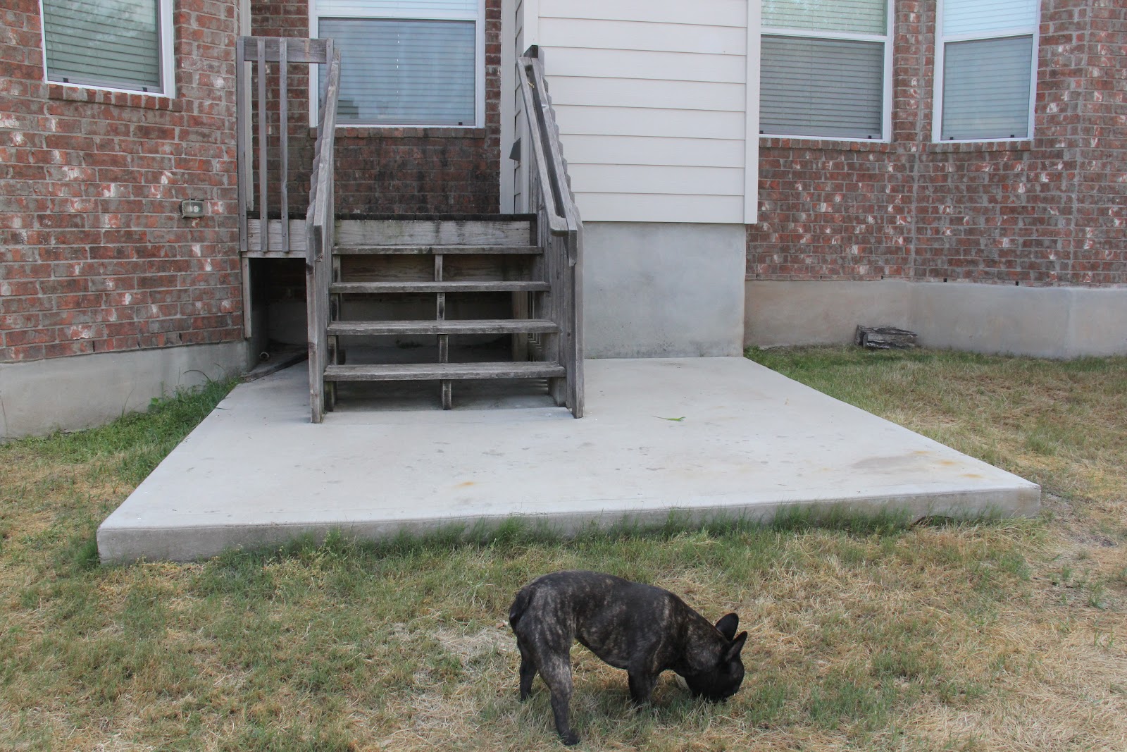 wood patio ideas