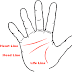 How to Read Palm Lines??
