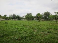 Land For Sale In Laos
