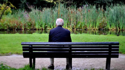 Old Man In Park