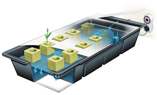 grow plants without soil: NFT Hydroponics System