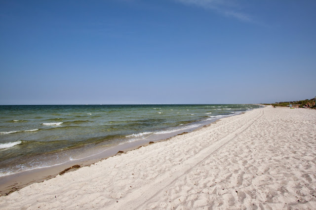 Penisola di Falsterbo-Skanor