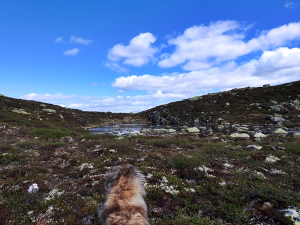 sørbølfjellet