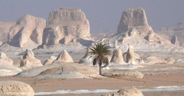 bahariya oasis