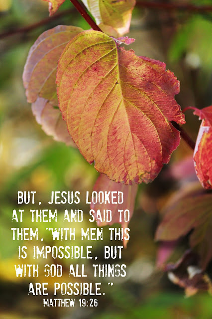 God's word, sunday verse, uplifting verse, inspirational quote, fall photography, http://bec4-beyondthepicketfence.blogspot.com/2015/11/sunday-verses_7.html