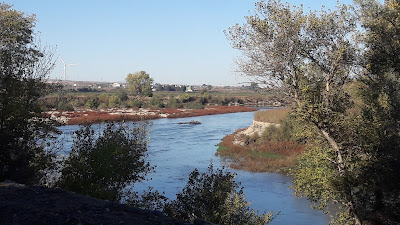 Camí de Sant Jaume de Compostela - Fuentes de Ebro a Saragossa, Riu Ebre des del Camí de Las Peñas i Galacho de El Burgo de Ebro