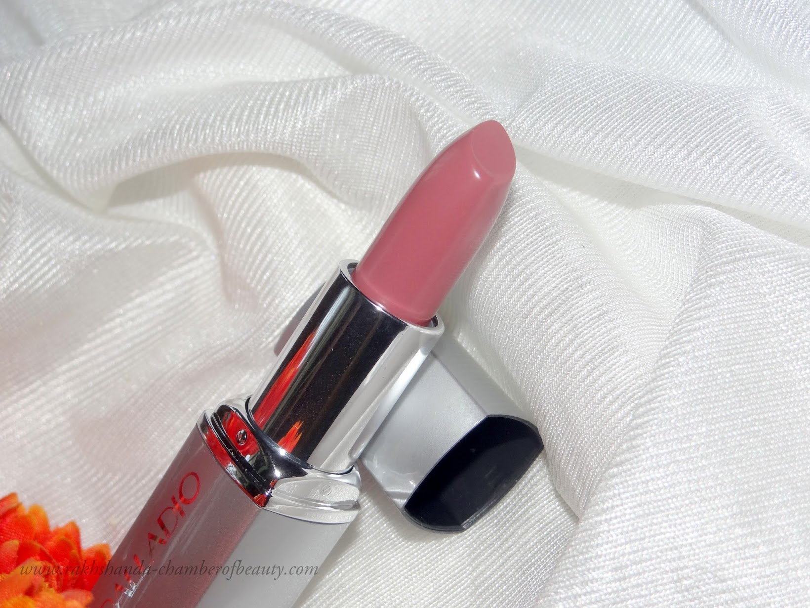 Palladio Meadow Sweet lipstick-review, swatches, Palladio Lipstick, creamy, herbal, Palladio Herbal Lipstick review, Indian beauty blogger, muted soft rose pink, muddy pink, chamber of beauty, Indian makeup blog, lipstick, nude pink lipstick review, nude lips, Palladio Meadow Sweet lipstick