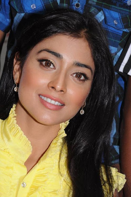 Shriya Saran Yellow Dress Stills