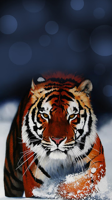 Tiger Wallpaper iPhone 6S