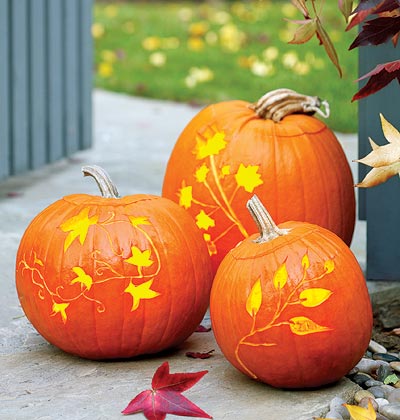 elegant carved pumpkins pics