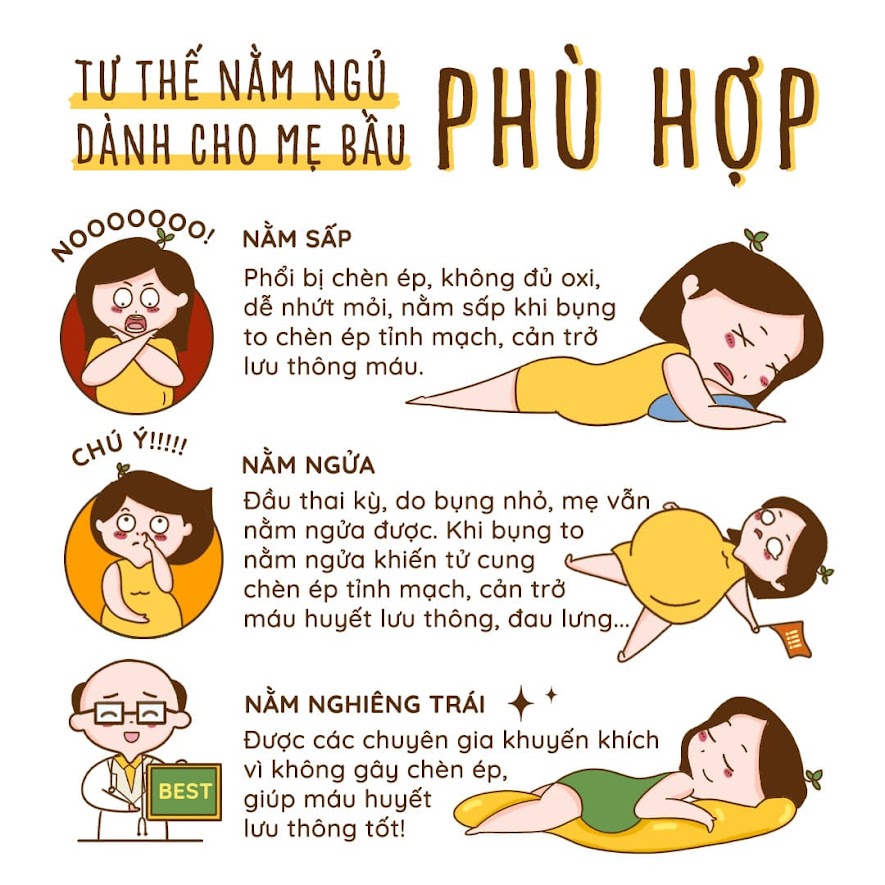 [A159] Bà Bầu 3 tháng chọn gối bầu Đậu Khuyết nào an toàn nhất