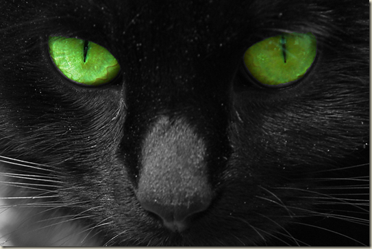 greeneyes