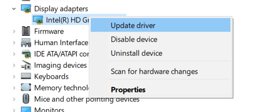 selecting the Display adapter option to update the driver