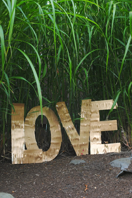 Love among the reeds for your wedding. www.fizzyparty.com