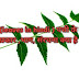 पत्ती (leaves in hindi ) पत्ती के कार्य, प्रकार ,भाग, संरचना क्या है 